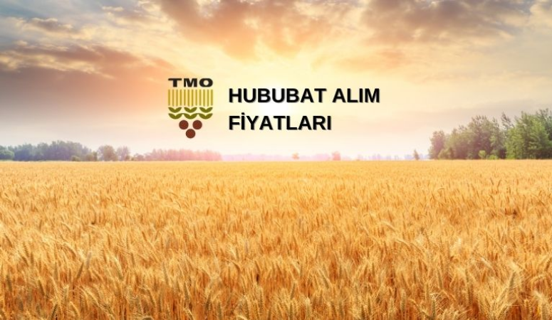 2024 Yılı hububat alım fiyatları açıklandı