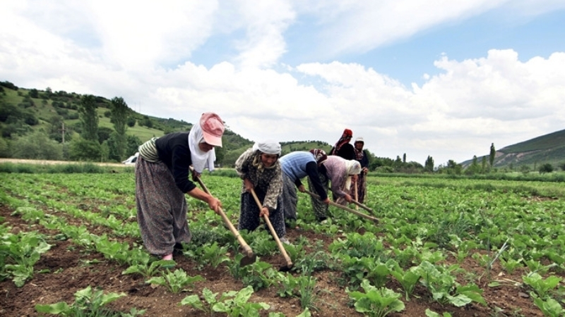 Mevsimlik işçilerin en büyük